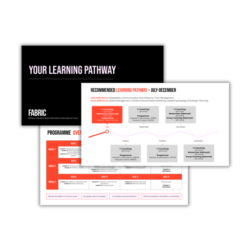 Individual Learning Pathways Developed for Each Learner