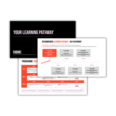 Individual Learning Pathways Developed for Each Learner